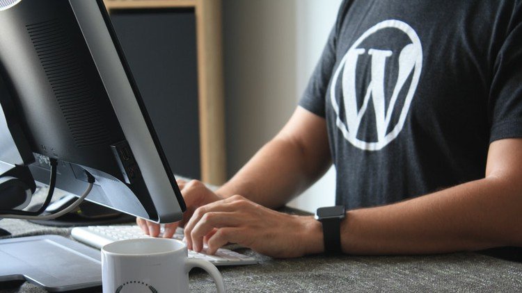 WordPress for Complete Beginners In Web Development